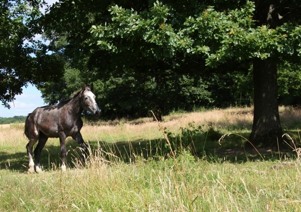 des nouvelles de Lise, celle à laquelle peu de gens ont cru... 111