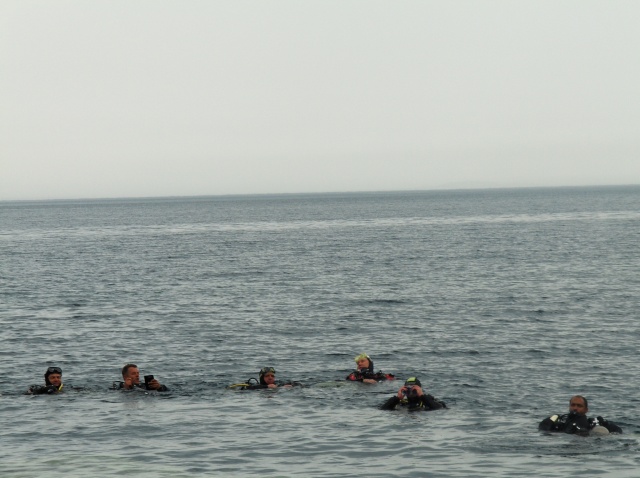 202 m DAHAB MER ROUGE AVEC PASCAL BERNABE Hpim1912