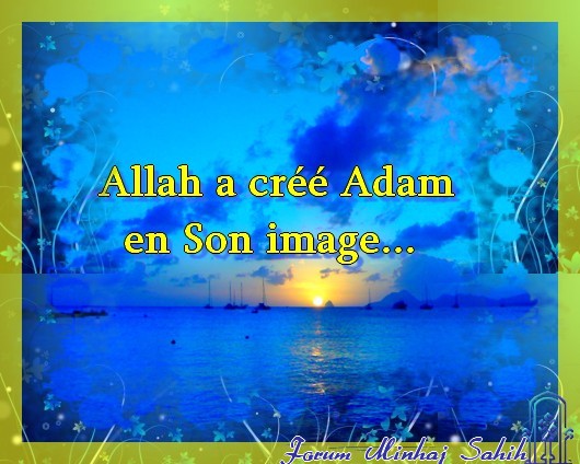 Allah a créé Adam en Son image... 08050810