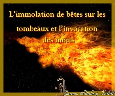 L'immolation de bêtes sur les tombeaux et l'invocation des morts 111