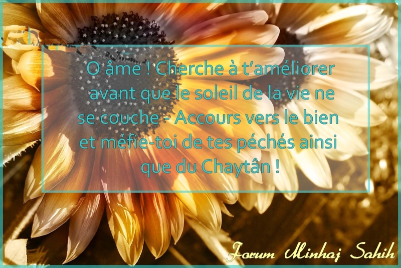 O âme ! Cherche à t’améliorer avant que le soleil de la vie ne se couche - Accours vers le bien et méfie-toi de tes péchés ainsi que du Chaytân ! O_ame_10