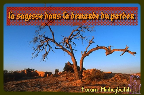 La sagesse dans la demande du pardon Sans_127