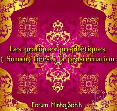 Les pratiques prophétiques ( Sunan) liées à la prosternation Sans_128