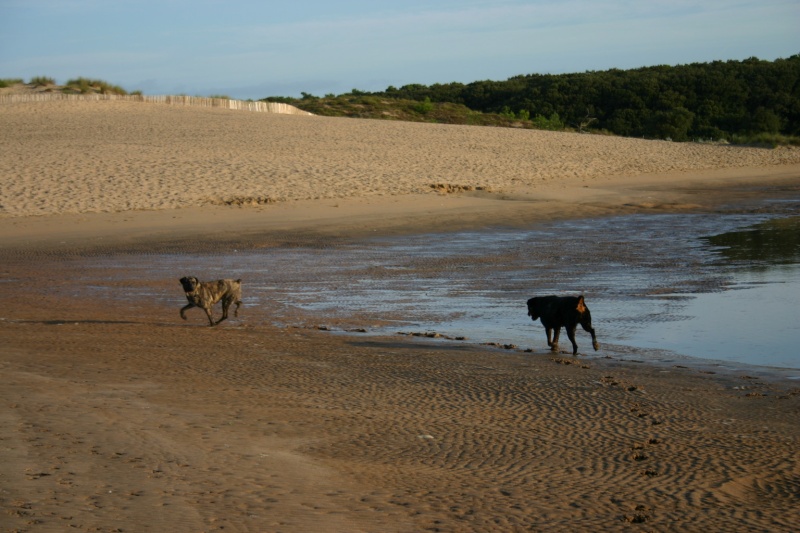 la plage avec des fila!! Img_7918