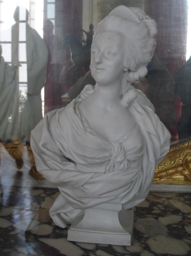 Les appartements de Louis XV et Louis XVI - Page 4 Sam_2014