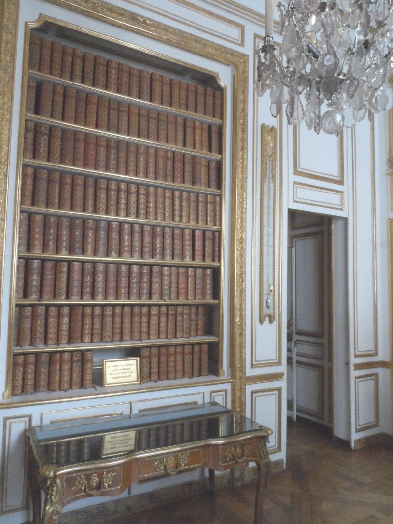 Les appartements de Louis XV et Louis XVI - Page 4 Sam_2025