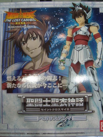 Saint Seiya Mith Cloth News - Pgina 2 Dsc05313