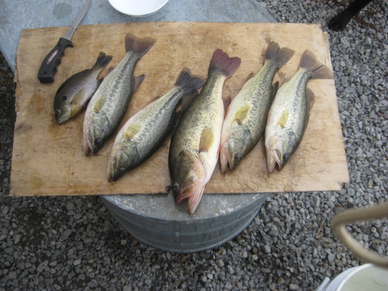 after saturday t-storms---caught fish Img_2110