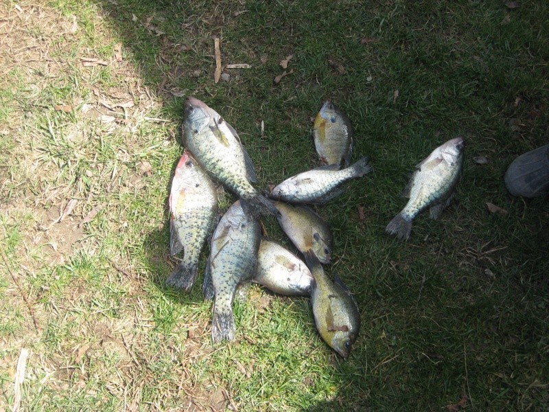 VAN BUREN STATE PARK....channel cats and crappie Img_2315