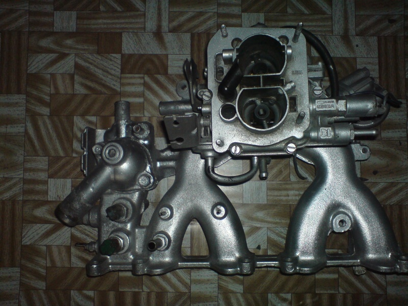 Carburetor Webber Dsc00410