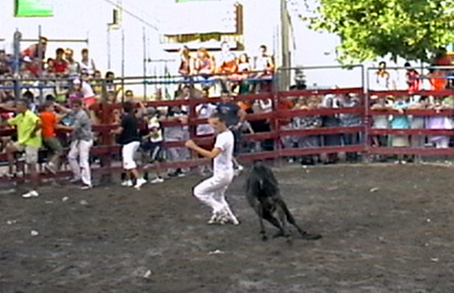 MORATA DE JALÓN (ZARAGOZA) VAQUILLAS DE HNS.JOVEN SALAS Y VAQUILLAS DE HNS.MURILLO CONDE 1211