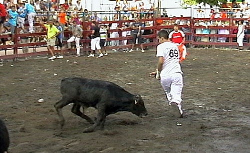 MORATA DE JALÓN (ZARAGOZA) VAQUILLAS DE HNS.JOVEN SALAS Y VAQUILLAS DE HNS.MURILLO CONDE 215