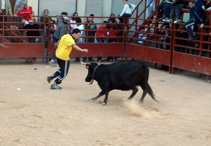 ILLUECA (ZARAGOZA) SESIÓN DE VAQUILLAS DE 228