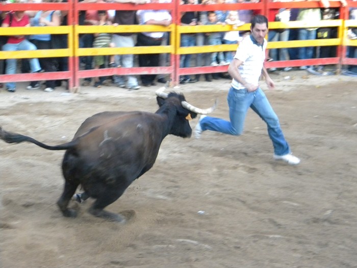 CHODES (ZARAGOZA) SESIÓN DE VAQUILLAS DE IVAN LOPEZ Dscn0611