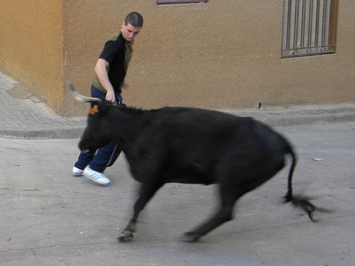 ARANDIGA (ZARAGOZA) SESIÓN DE VAQUILLAS DE "EL RUISEÑOR" Rscn0311