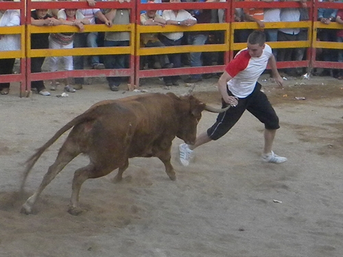 CHODES (ZARAGOZA) SESIÓN DE VAQUILLAS DE IVAN LOPEZ Rscn0514