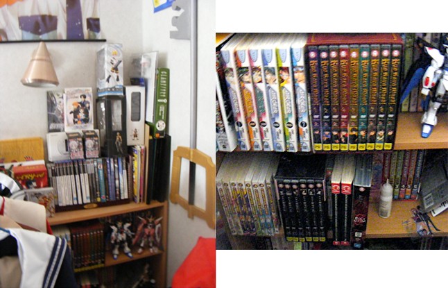 Your Anime/Manga Collections? - Page 3 Collec11