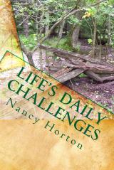 Life's Daily Challenges Thumbn10