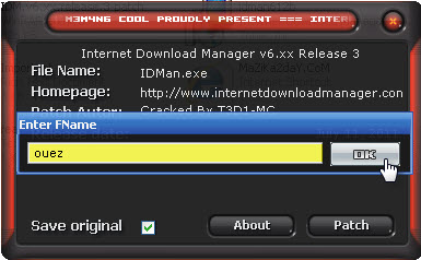     2013 Internet Download Manager 6.15 Build 10 Final         310