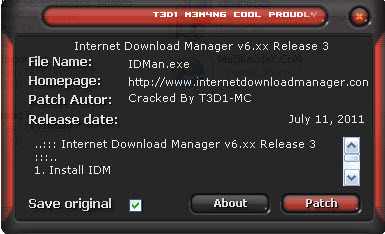     2013 Internet Download Manager 6.15 Build 10 Final         Image10