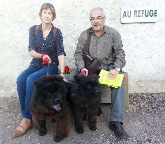 POLKA et GIROUETTE (Chow Chow) - Page 2 Adopti16