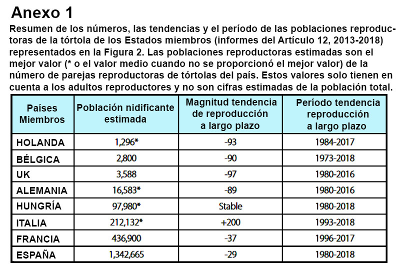 NO CARGA LA IMAGEN