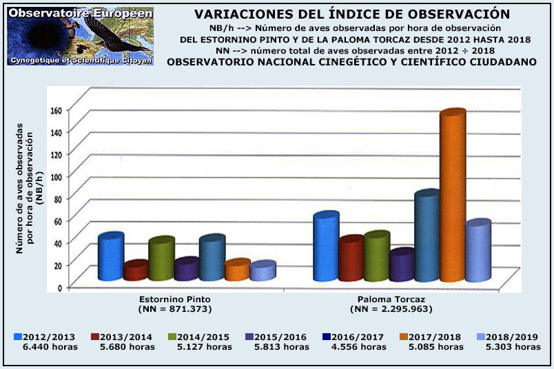 NO CARGA LA IMAGEN