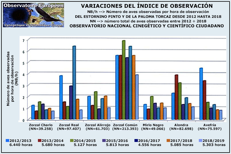 NO CARGA LA IMAGEN