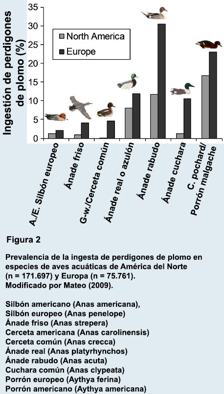 NO CARGA LA IMAGEN