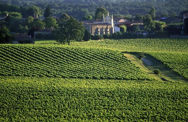 Thăm những vùng rượu nho trứ danh ở Pháp  Bordea10