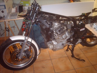 PROJET 500 CX CAFE RACER RACER Imag5018