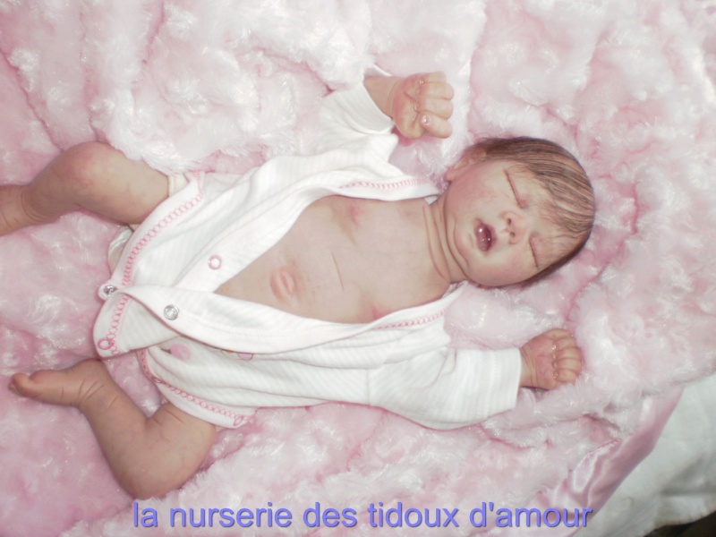 la nurserie des tidoux d'amour - Page 4 P8270010