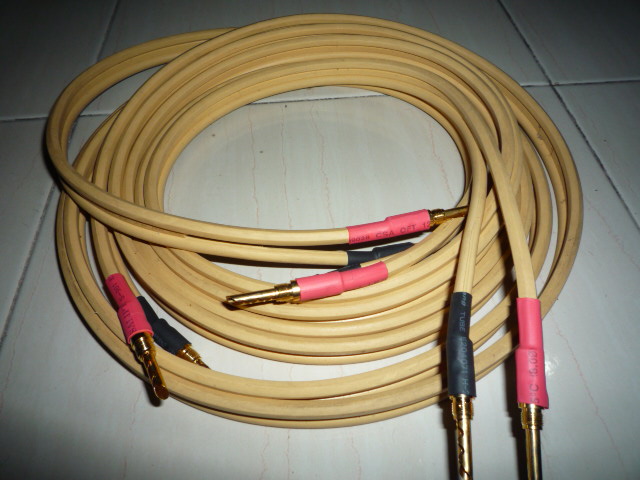 Van den Hul CS122 speaker cables (New)SOLD P1020047