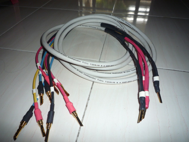Ecosse CS 4.2 speaker cables (Used) SOLD P1020133