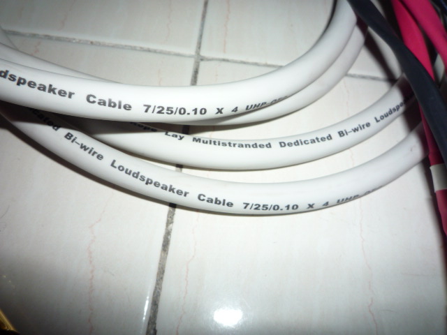 Ecosse CS 4.2 speaker cables (Used) SOLD P1020134