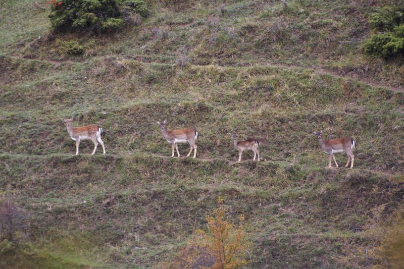 Una mattina d'Ottobre,fra nuvole e... Dpp_0252