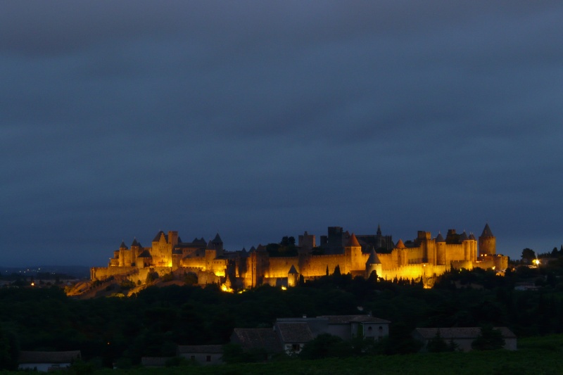 14 juillet à Carcassonne P1220110