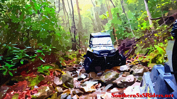 Oil Painted SxS - Page 8 Jellic10