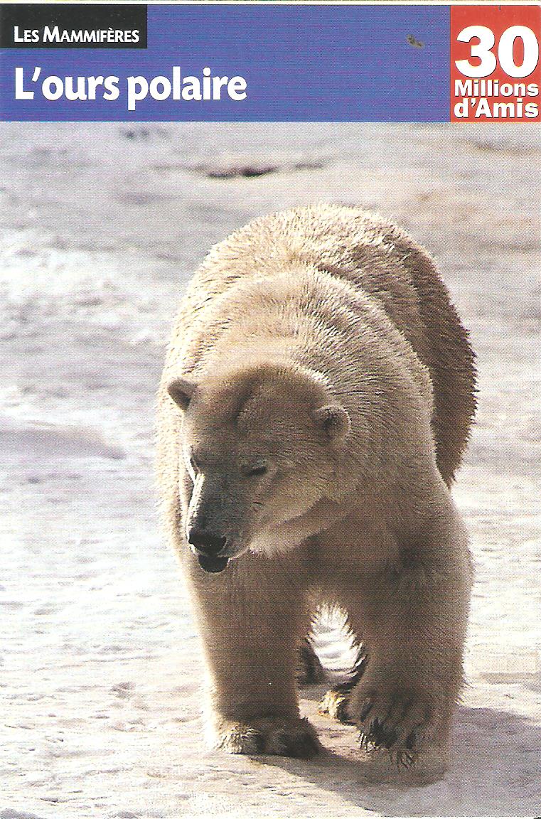 Ursus maritimus : l’ours polaire Fiche_10