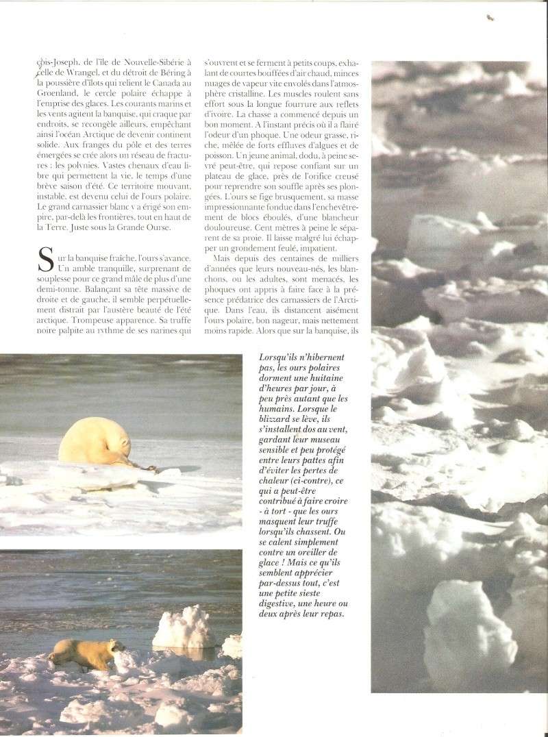 Menaces sur l'empire des ours sauvages (Terre sauvage N°33) Terre_15