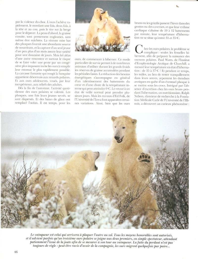 Menaces sur l'empire des ours sauvages (Terre sauvage N°33) Terre_19