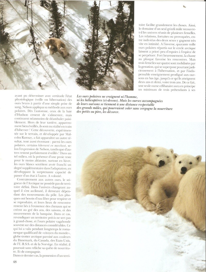 Menaces sur l'empire des ours sauvages (Terre sauvage N°33) Terre_21