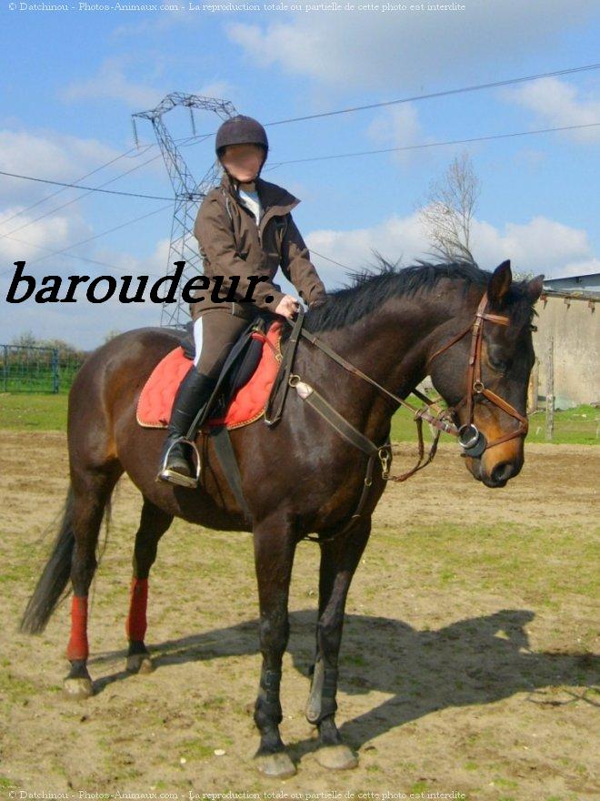 Baroudeur. Baroud10