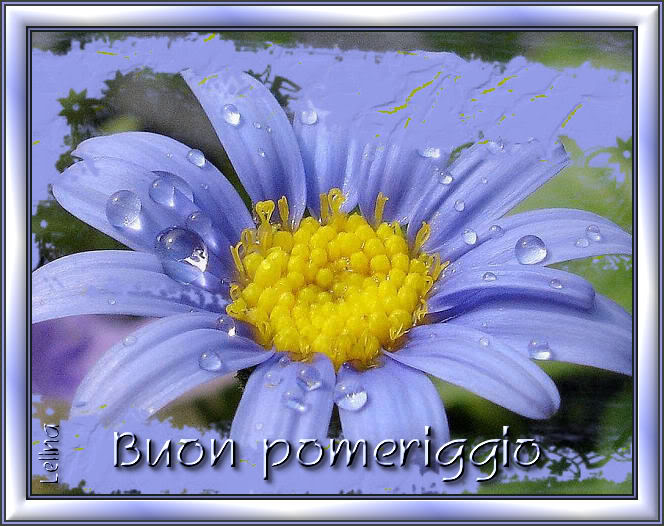 2 agosto 2008 (domenica) Buonpo12