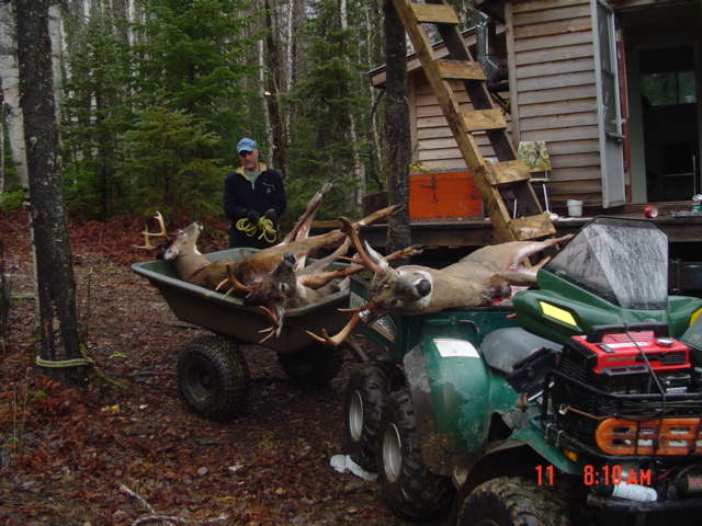 Album de Chasse au chevreuil 2008 Photoa17