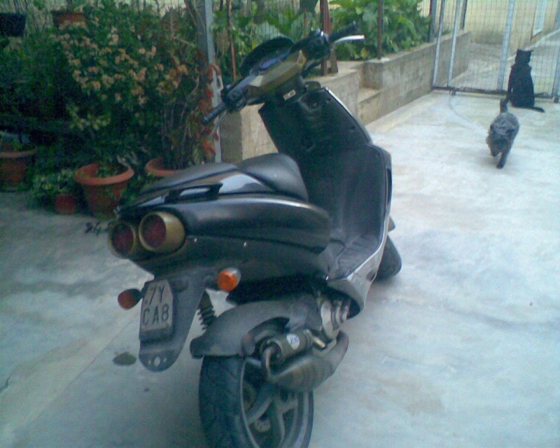 Il mio Aprilia Sr Immag010