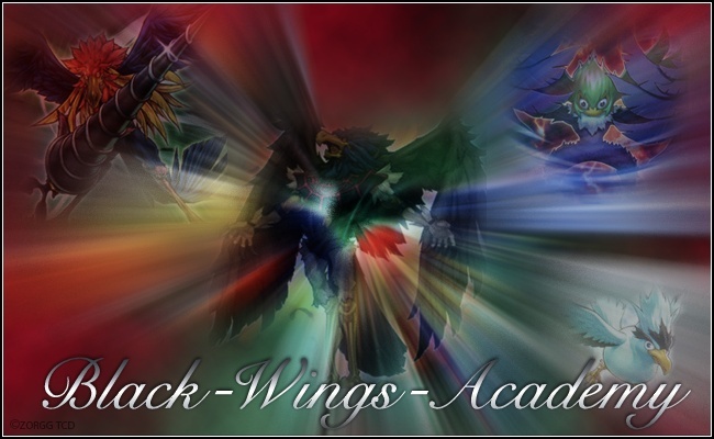 ~Black-Wings-Academy~
