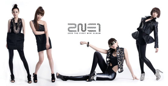 YG Entertainment to take strong actions against photos of 2NE1 leaked 20090711