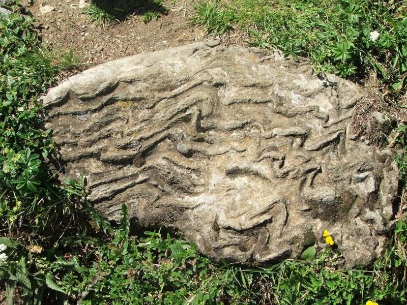 Identification fossile ( rocher très bizarre) Formes10