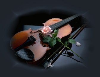 ~~~ Burcunuzun şarkıları ~~~ Violin10